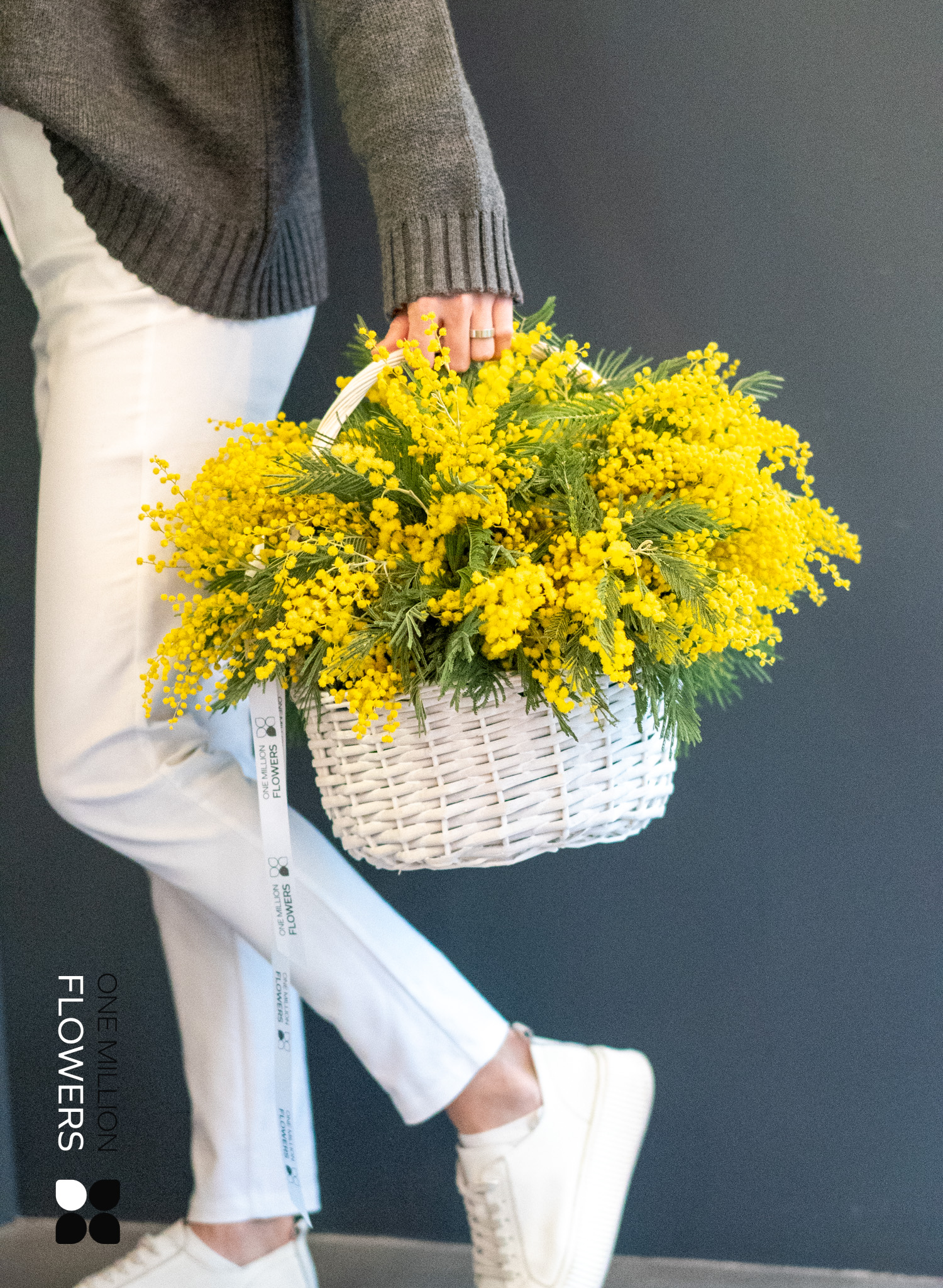 Корзина из 25 Мимоз