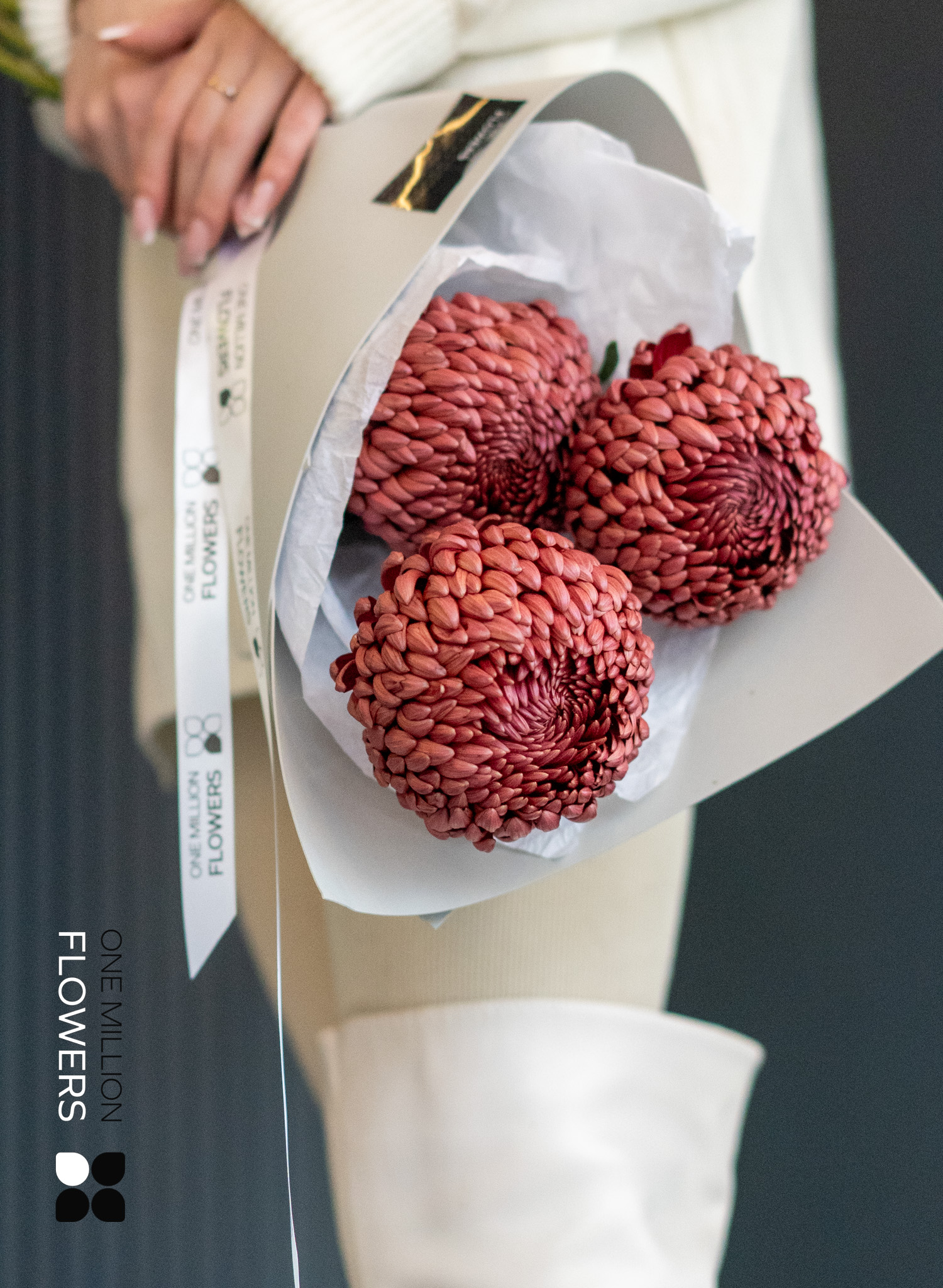 Букет из 3 шоколадных хризантем "Бигуди" Gray