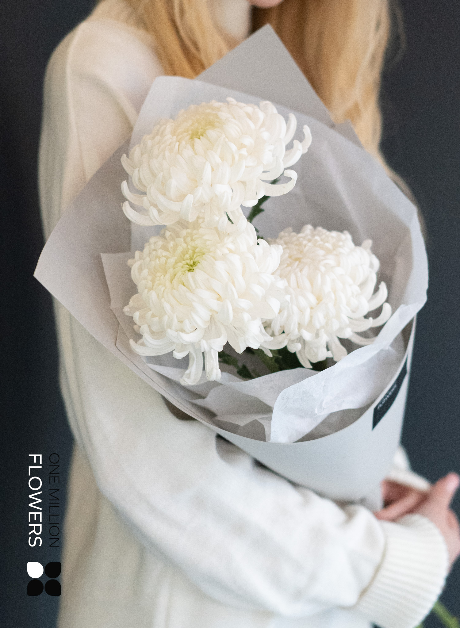 Букет из 3 белых хризантем "Бигуди" Gray