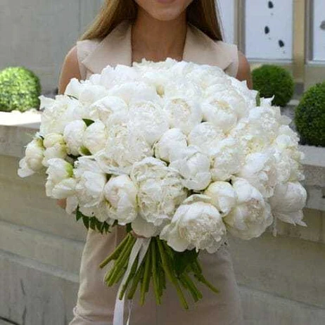 Букет из 51 пиона "Дюшес"