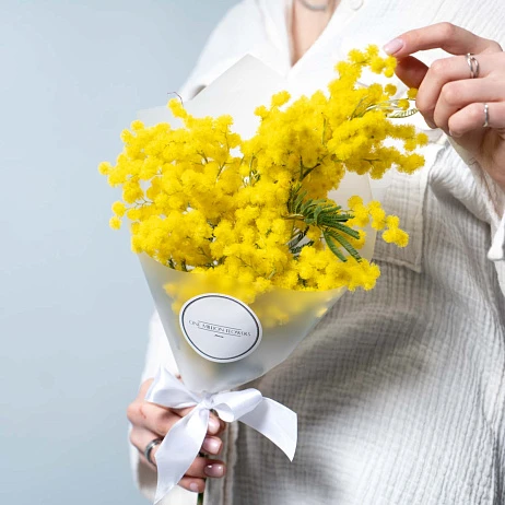 Букет Мимоза Standart+