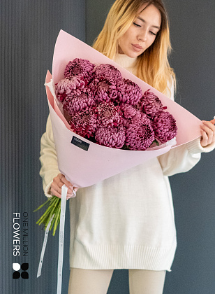 Букет из 15 винных хризантем "Бигуди" Pink