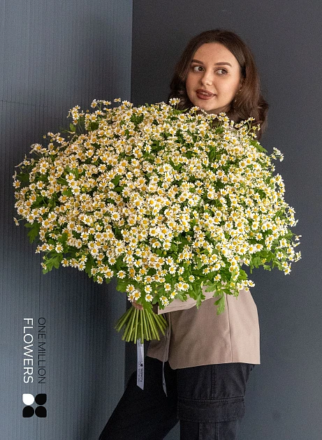 Букет из 75 ромашек "Дейзи"