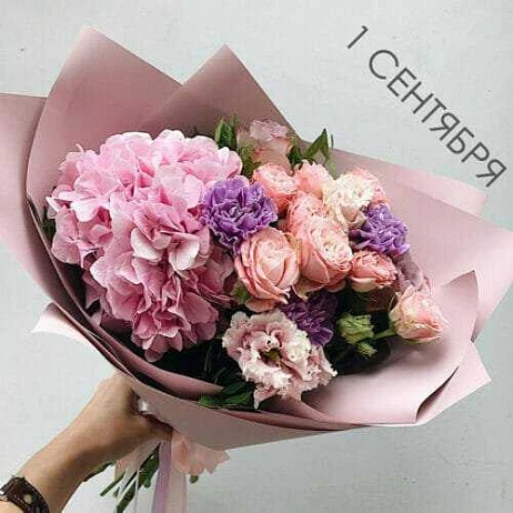 Букет "Гортензия Вайли Принц"