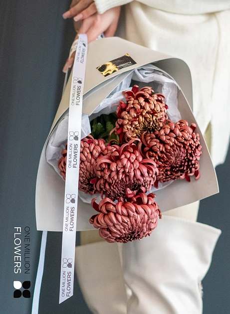 Букет из 5 шоколадных хризантем "Бигуди" Gray