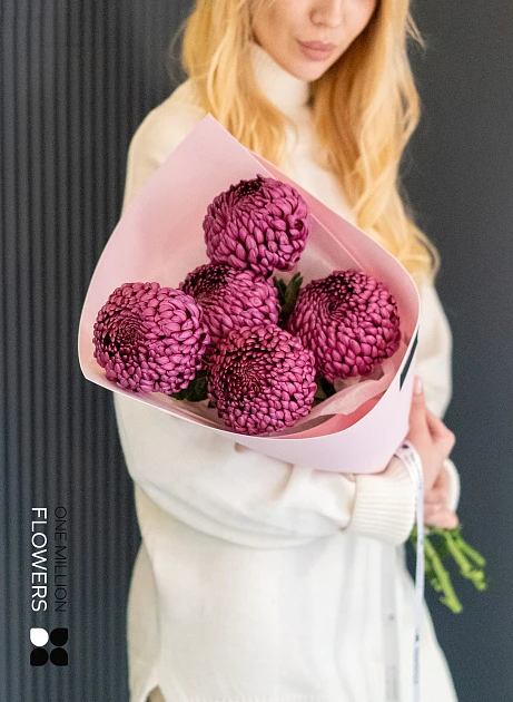 Букет из 5 винных хризантем "Бигуди" Pink
