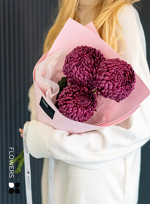 Букет из 3 винных хризантем "Бигуди" Pink