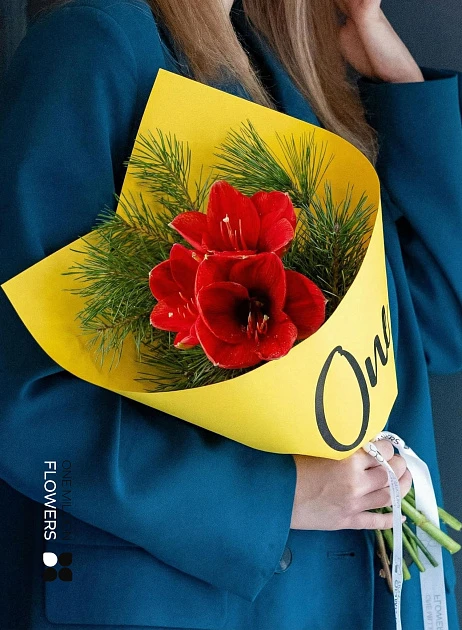 картинка Букет "Ред Элис" by One от магазина Одежда+