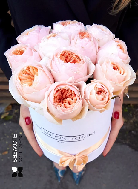 Коробка "Джульет" White - Mini