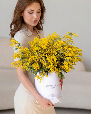 Коробка "Мимоза Барнеби" White - Mini