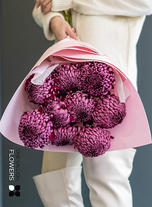Букет из 9 винных хризантем "Бигуди" Pink