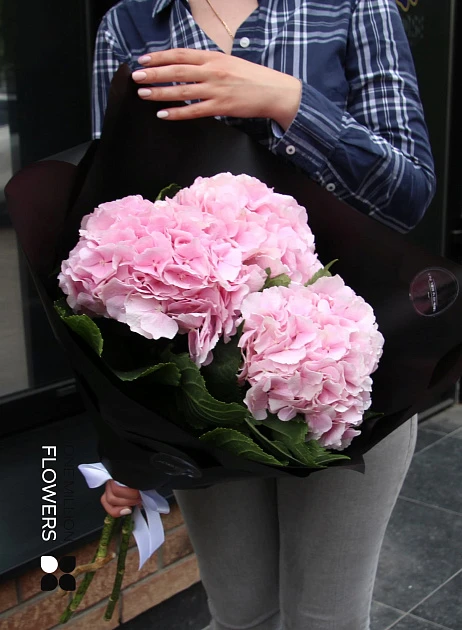 Букет из 3 гортензий "Пернэл" Black