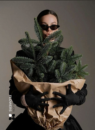 Лапник "Нобилис"