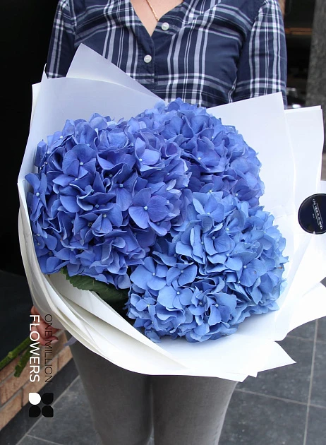 Букет из 3 гортензий "Верона" White