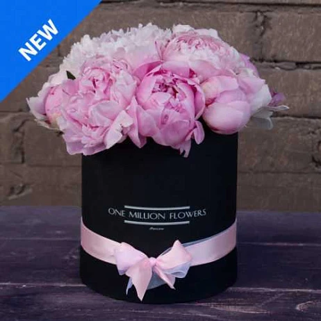 Коробка "Сара Бернар" Black - Mini